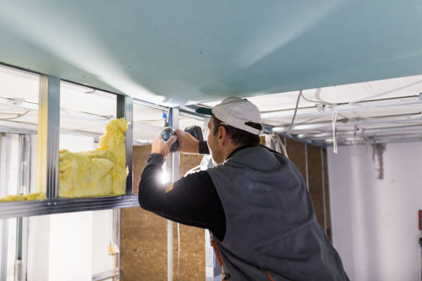 Best Commercial Insulation in Brandon, FL